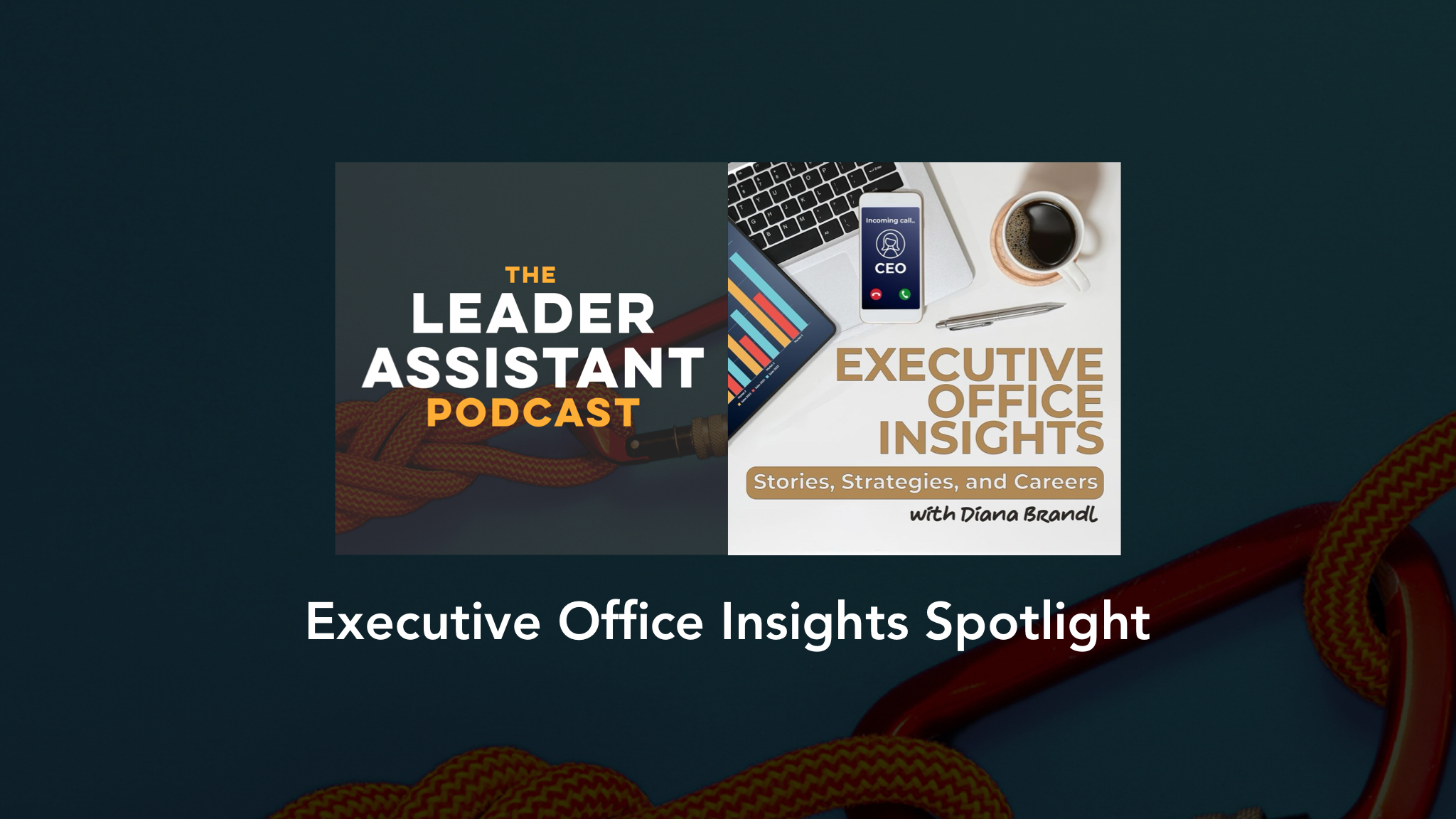 Executive Office Insights - Diana Brandl - Spotlight Episode