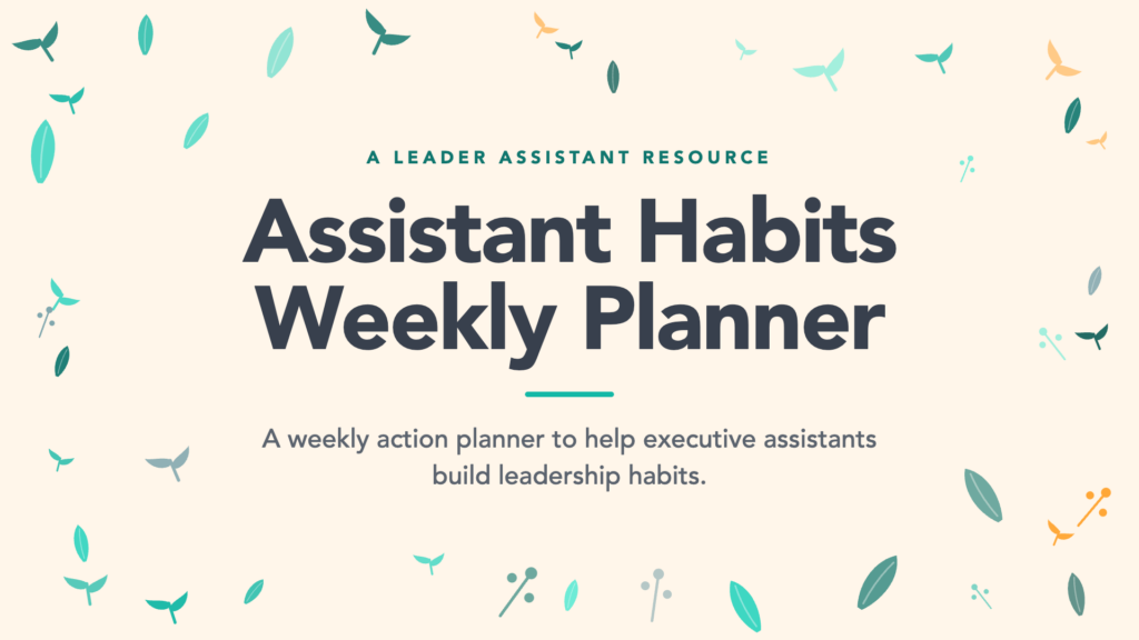 Regular online group coaching leader assistant membership